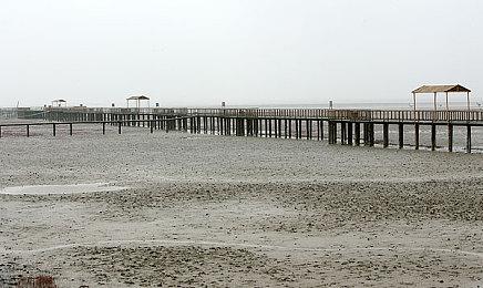 前B社高级美术师：《星空》原计划是更加血腥暴力